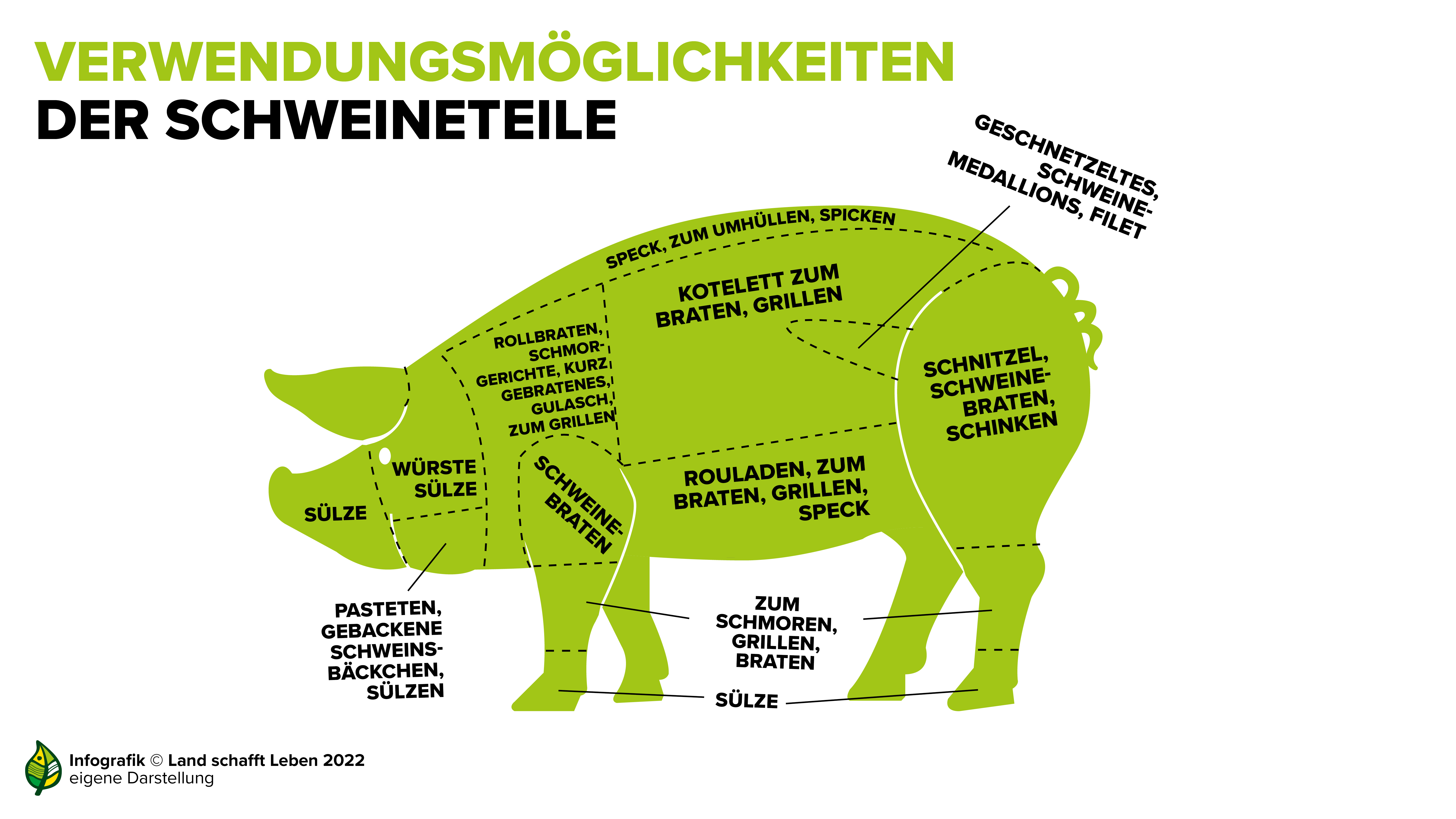 Schwein Elementar und Primarstufe